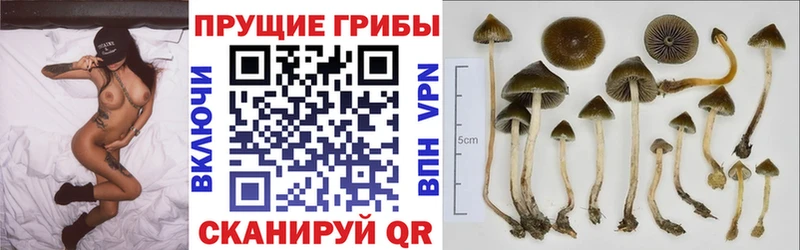 Псилоцибиновые грибы ЛСД  Верхняя Салда 
